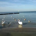 W Kolobrzegu Blisko Plazy, Parku I Promenady Daire Kolobrzeg