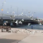 W Kolobrzegu Blisko Plazy, Parku I Promenady * Kolobrzeg