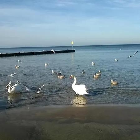 W Kolobrzegu Blisko Plazy, Parku I Promenady Апартаменти Колобжег