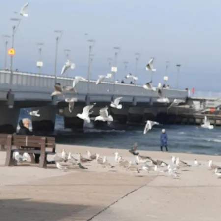 W Kolobrzegu Blisko Plazy, Parku I Promenady * Kołobrzeg